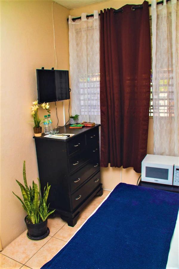 Eventuality B&B New كينغستون المظهر الخارجي الصورة